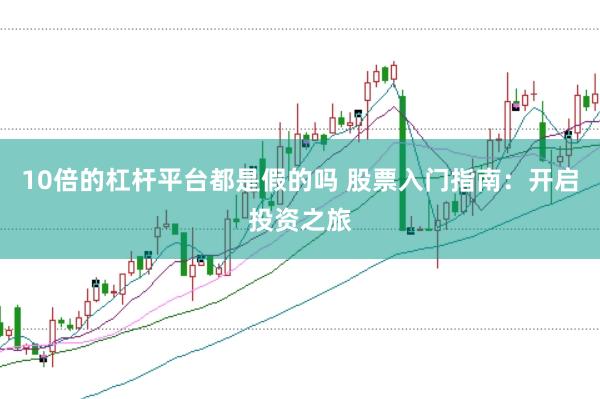 10倍的杠杆平台都是假的吗 股票入门指南：开启投资之旅