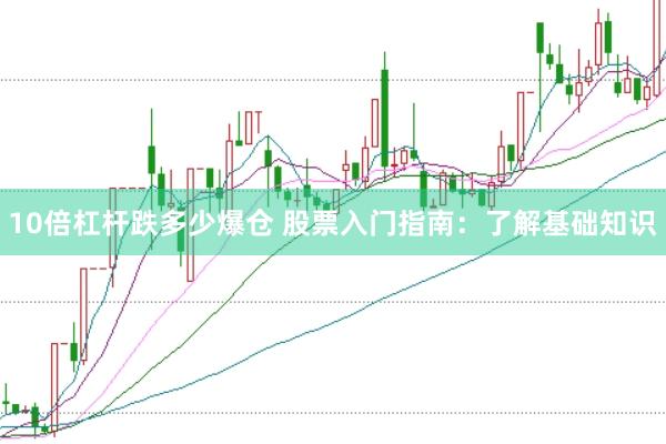 10倍杠杆跌多少爆仓 股票入门指南：了解基础知识