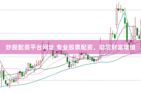 炒股配资平台网址 专业股票配资，助您财富增值