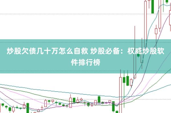 炒股欠债几十万怎么自救 炒股必备：权威炒股软件排行榜