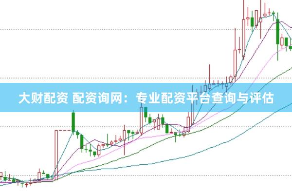 大财配资 配资询网：专业配资平台查询与评估