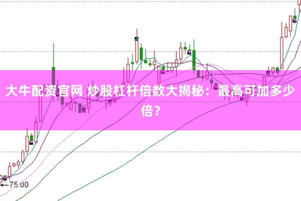 大牛配资官网 炒股杠杆倍数大揭秘：最高可加多少倍？