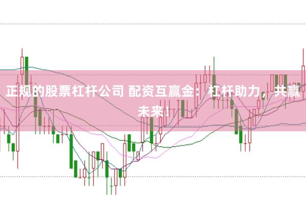 正规的股票杠杆公司 配资互赢金：杠杆助力，共赢未来！