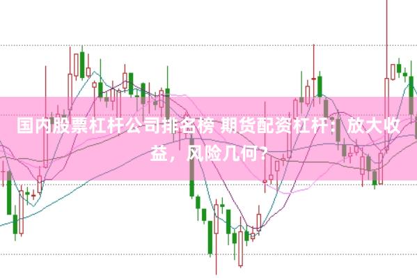 国内股票杠杆公司排名榜 期货配资杠杆：放大收益，风险几何？