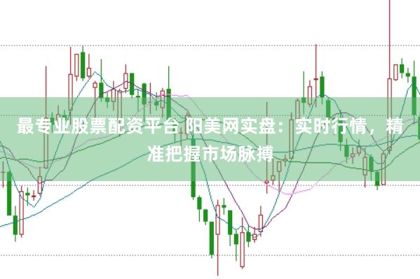 最专业股票配资平台 阳美网实盘：实时行情，精准把握市场脉搏