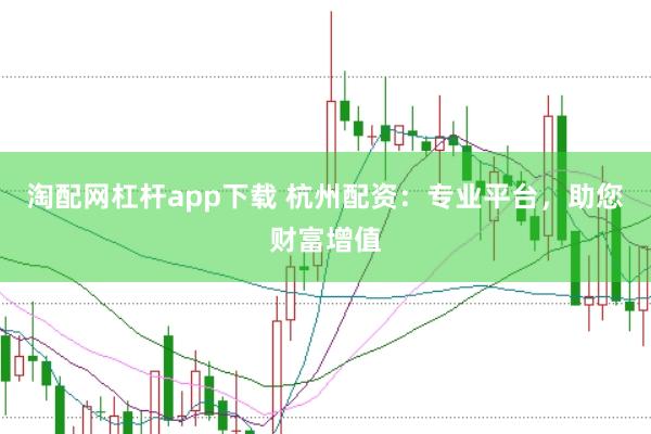 淘配网杠杆app下载 杭州配资：专业平台，助您财富增值