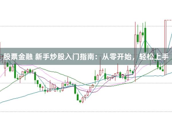股票金融 新手炒股入门指南:从零开始,轻松上手